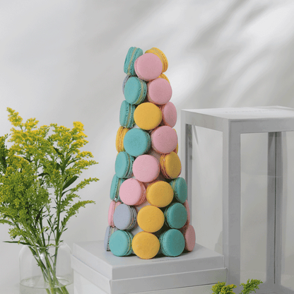 Pino de Macarons