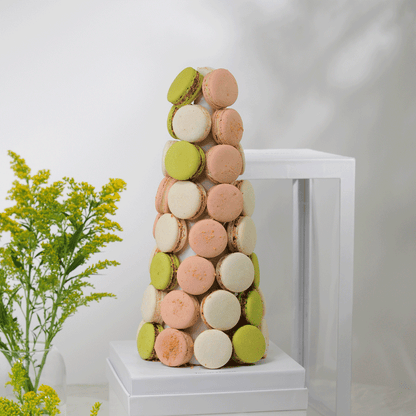 Pino de Macarons